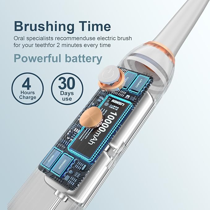 Electric Toothbrush Set with Drying &amp Sanitizing Holder 8 Replacement Brush Heads Transparent Rinse Cup Smart Timer USB Rechargeable for Adults