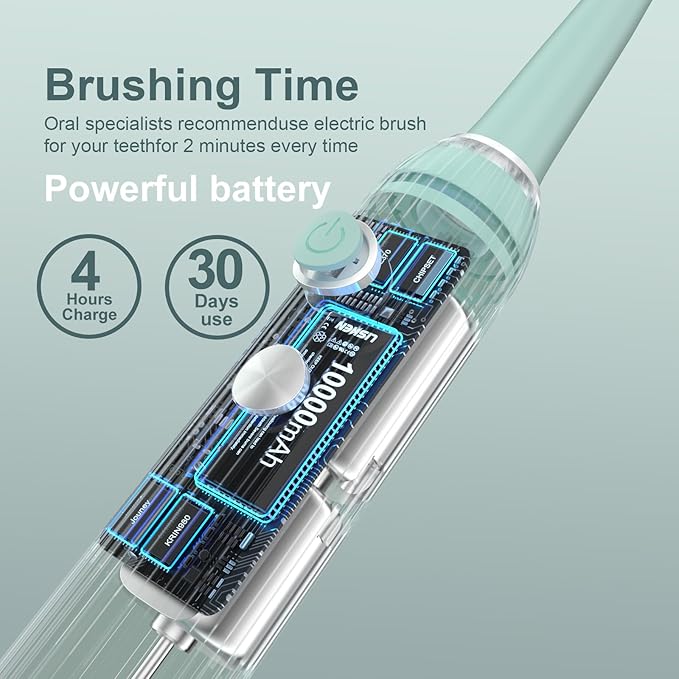Rechargeable Sonic Toothbrush with Drying Holder 8 Brush Heads Smart Timer Waterproof Design ? Mint Green Edition
