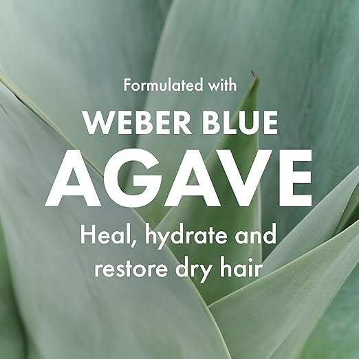Agave Restorative Hydrating Mask Deep Conditioning for Dry or Damaged Hair 8.5 fl oz
