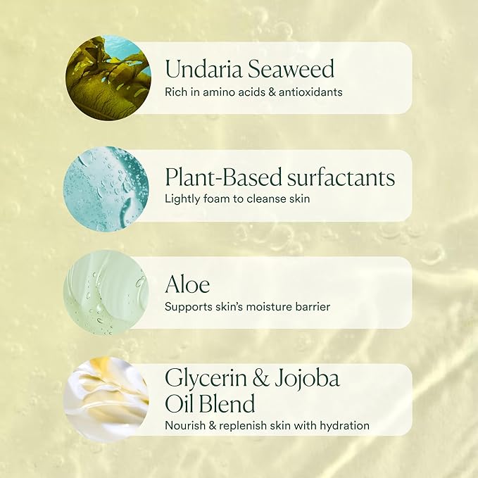 OSEA Undaria Algae??Body Wash 8 fl oz - Hydrating &amp Moisturizing Body Wash - Citrus Scented Cleanser