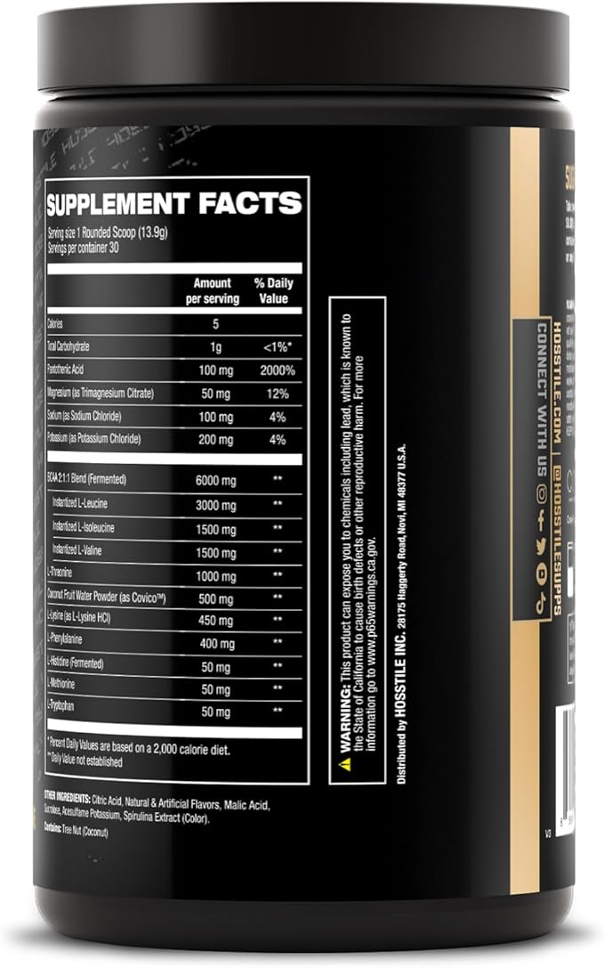 HOSSTILE SILO[9] Essential Amino Acids EAA &amp BCAA Powder Electrolyte Hydration Support Enhance Muscle Growth &amp Recovery Pre or Post Workout Drink Blueberry Lemonade 30 Servings