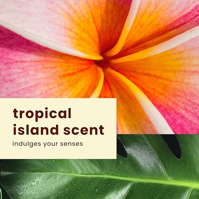 Hawaiian Tropic Silk Hydration Weightless Sunscreen Pack - SPF 30 Broad Spectrum Sunscreen Lotion (6oz) &amp Face Lotion (1.7oz)