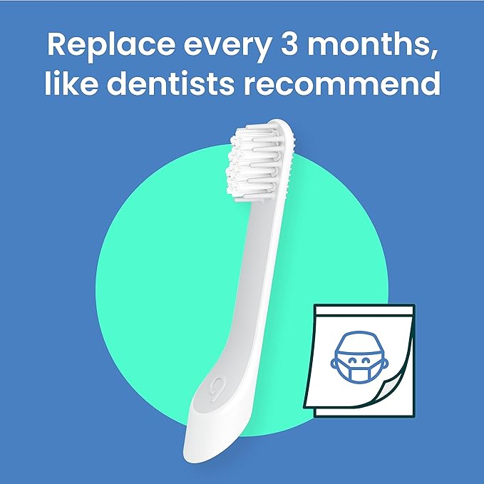 quip Sonic Toothbrush Replacement Heads for Kids - 3 Pack - Verified quip Small Brush Head Refills for Electric Toothbrushes - Soft Bristles Compact &amp Flexible - Last 3 Months Each
