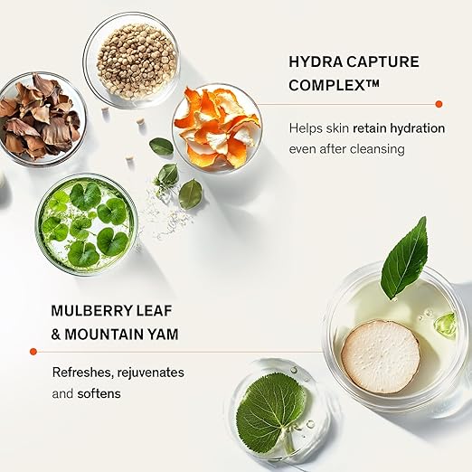 Sulwhasoo Gentle Cleansing Foam ? Hydrating Daily Gel-to-Foam Facial Cleanser with Korean Herbal Ingredients Removes Makeup Dirt &amp Impurities Softens &amp Refreshes Skin Korean Skincare Face Wa