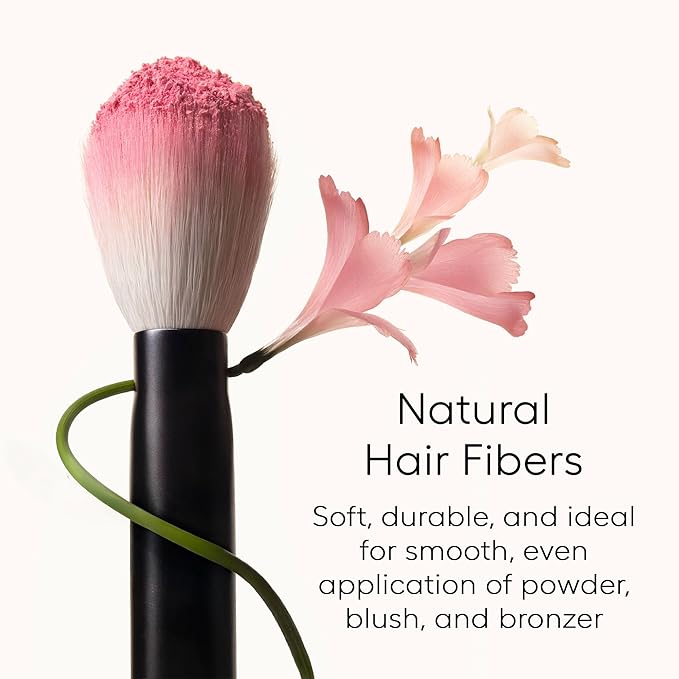 rephr brush 05 - Natural Goat Hair Makeup Brush for Blush Powder Highlighter &amp Bronzer (38mm Bristles) Handmade in Kumano Japan
