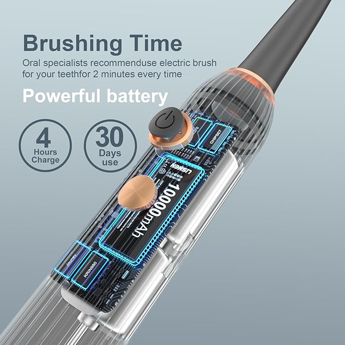 Sonic Electric Toothbrush for Adults with Drying Storage Holder 8 Brush Heads Smart Timer USB Rechargeable Deep Clean Power ? Classic Black Edition