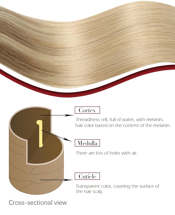 Clip in Hair Extensions Real Human Hair Remy Clip in Extensions 16 Inch 7pcs 140g Ash Brown to Caramel Blonde Hair Extensions (#10/27/2716'')