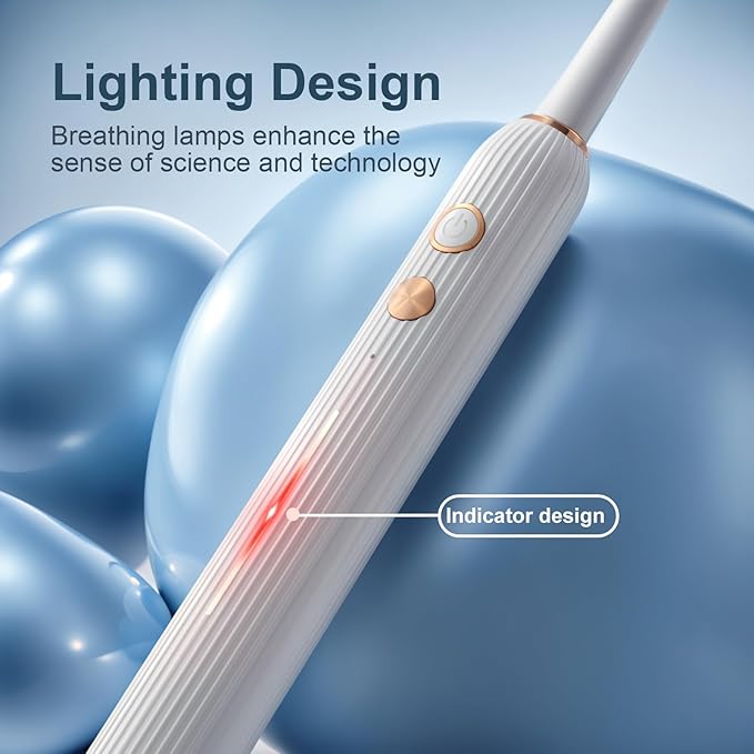 Electric Toothbrush Set with Drying &amp Sanitizing Holder 8 Replacement Brush Heads Transparent Rinse Cup Smart Timer USB Rechargeable for Adults
