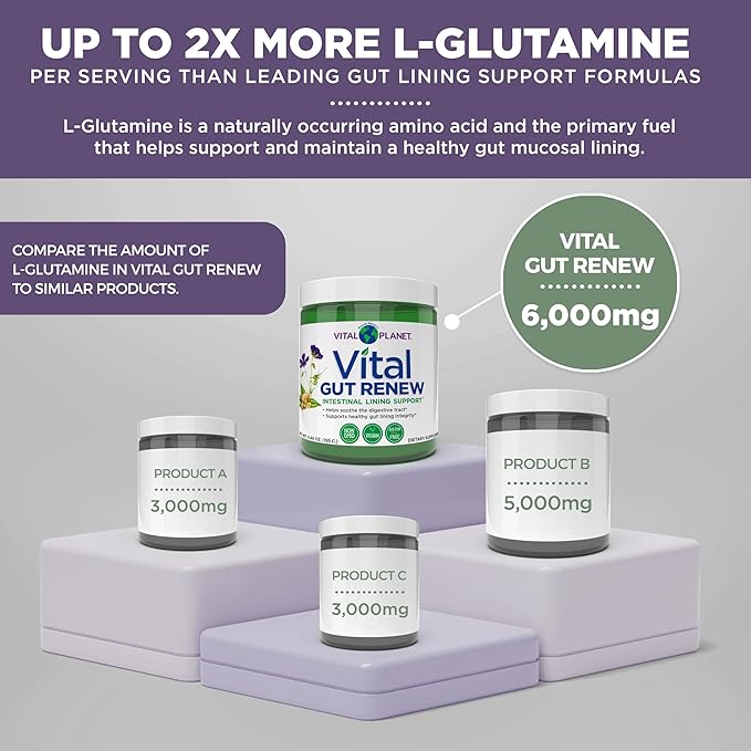 Vital Planet - Vital Gut Renew Powder Supplement for Leaky Gut Repair with L-Glutamine Marshmallow and Ginger Root DGL Licorice Root and Organic Aloe Vera L Glutamine 6000mg 6.88 oz