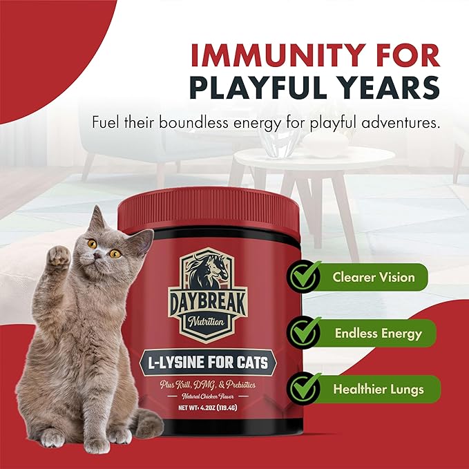 L-Lysine for Cats and Kittens - 900 mg L Lysine Powder for Cats for Immunity &amp Respiratory Support - Cat Supplement with L-Lysine Prebiotics Krill &amp DMG for Immune System Eye Health &amp