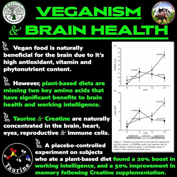 Vegan Brain &amp Body Boost: The Cherry On Top of A Plant-Based Lifestyle | Working Intelligence | Anti-Aging | Physical Fitness | Vegan Amino Acids - Creatine Taurine &amp Beta Alanine | 40 Servin