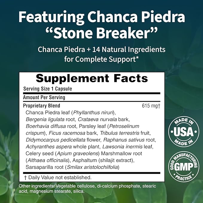 Kidney Cleanse - Premium Kidney Support Supplement with Chanca Piedra Stone Breaker - Supports Natural Cleansing &amp Urinary Tract Health - 60 Capsules (Pack of 3)