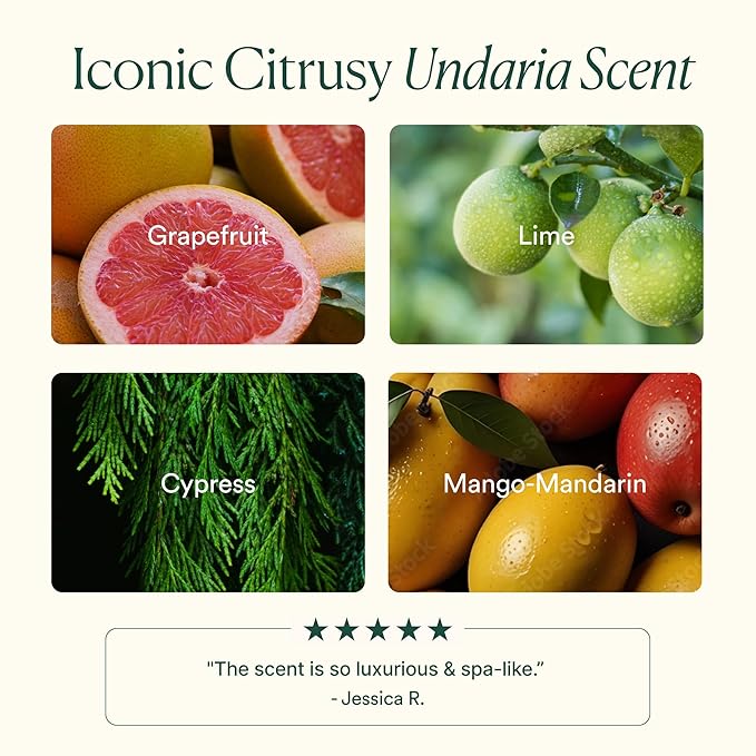 OSEA Undaria Algae??Body Wash 8 fl oz - Hydrating &amp Moisturizing Body Wash - Citrus Scented Cleanser