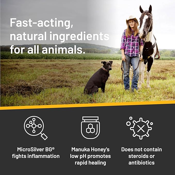 Absorbine Silver Honey Rapid Skin Relief Medicated Shampoo Medical Grade Manuka Honey &amp MicroSilver BG Rejuvenating Soothing &amp Hydrating 16 fl oz