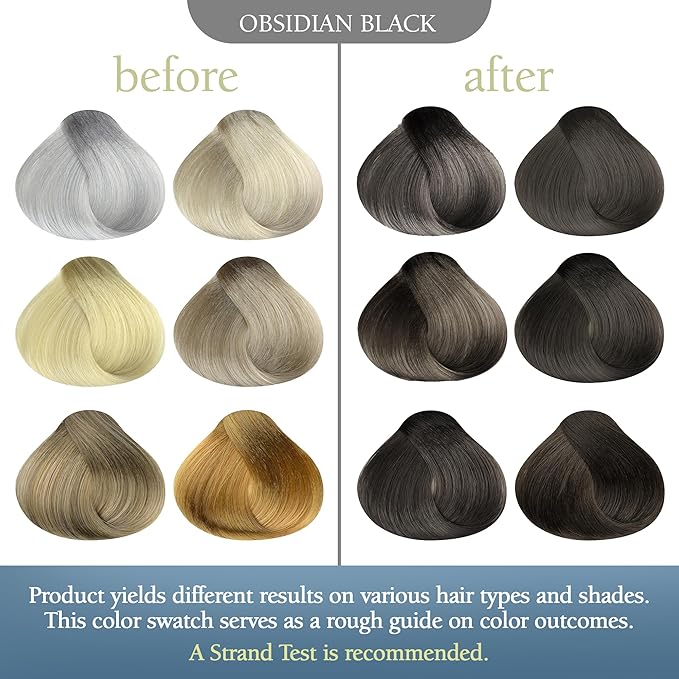 DIY Natural Mineral Color Dye Kit - 100% Vegan Hair Color Spray for Men &amp Women - Non-Toxic Ammonia-Free Organic Hypoallergenic Gray Coverage for Scalp &amp Beard - Obsidian Black