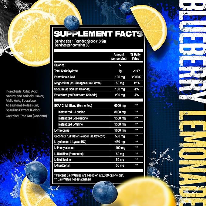 HOSSTILE SILO[9] Essential Amino Acids EAA &amp BCAA Powder Electrolyte Hydration Support Enhance Muscle Growth &amp Recovery Pre or Post Workout Drink Blueberry Lemonade 30 Servings