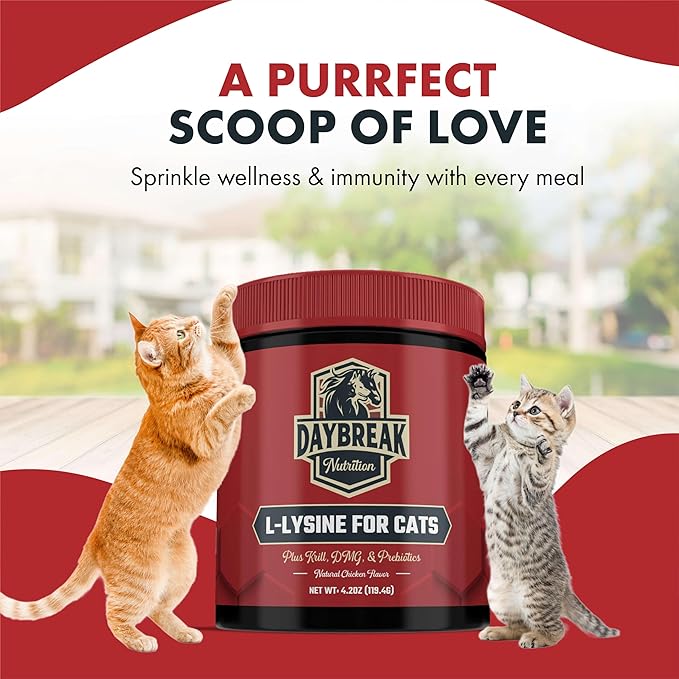 L-Lysine for Cats and Kittens - 900 mg L Lysine Powder for Cats for Immunity &amp Respiratory Support - Cat Supplement with L-Lysine Prebiotics Krill &amp DMG for Immune System Eye Health &amp