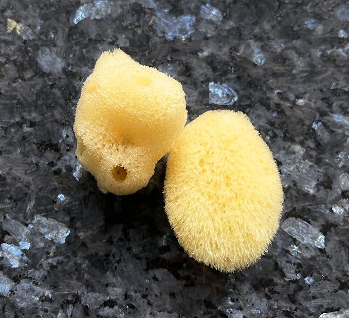 Real Natural Sea Sponges Multipack - 5pc Spa Gift Set in Premium Bag Kind on Skin for Bath Shower Facial Cleansing Pamper Moms Brides Girlfriends &amp Teens (5 Pack Standard Packaging)