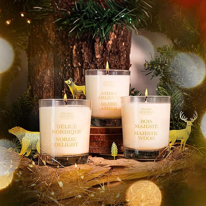 Panier des Sens - Winter Candle ? Long Lasting Scented Candles for Home ? Gift for Women ? 100% Natural Cotton Wick ? Decorative Candles Home Gifts (Nordic Delight Vanilla)