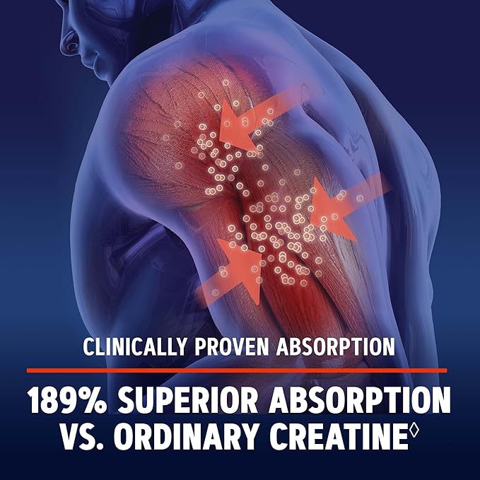 GNC AMP Creatine HCl 189 Targeted Muscle Builder and Recovery Supplement Fast Absorbing Performance Blend 480 Count