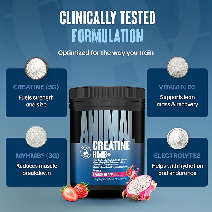 Animal Creatine HMB Powder ? 3g myHMB + 5g Creatine with Electrolytes for Recovery &amp Daily Energy ? Dragon Berry Flavor 30 Servings