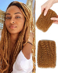 Afro Kinkys Bulk Human Hair ExtensionsKinky-Curly Real Human Hair for Dreadlocks/Locs Repair Twist &amp Braid Crochet Human Braiding Hair Bundles Natural Blonde 10 Inches 2 Packs27#