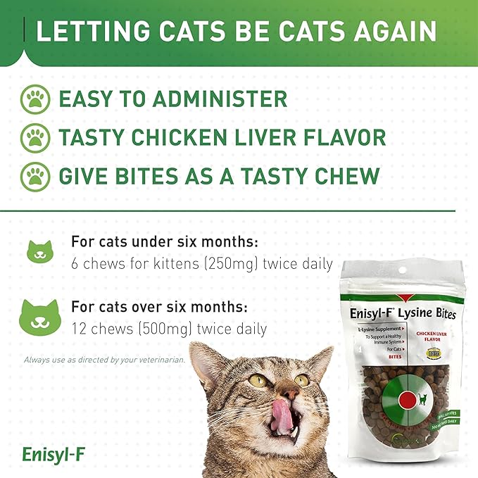 Vetoquinol Enisyl-F Lysine Bites: L-Lysine Chews for Cats &amp Kittens - Chicken Liver-Flavor 6.4oz (180g) Recloseable Bag