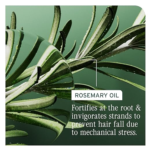 Biolage Full Rescue Restorative Hair Mask - Deeply Conditions &amp Creates Denser Appearance Softens &amp Strengthens Thin and Thinning Hair Rosemary Oil &amp Niacinamide Vegan &amp Cruelty-Fre