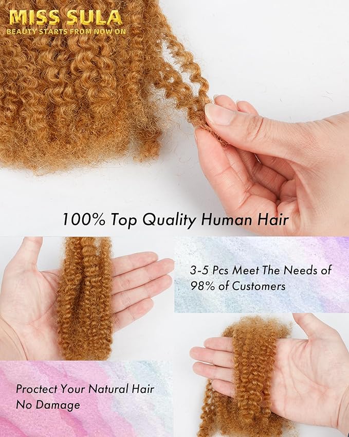 Afro Kinkys Bulk Human Hair ExtensionsKinky-Curly Real Human Hair for Dreadlocks/Locs Repair Twist &amp Braid Crochet Human Braiding Hair Bundles Natural Blonde 10 Inches 2 Packs27#