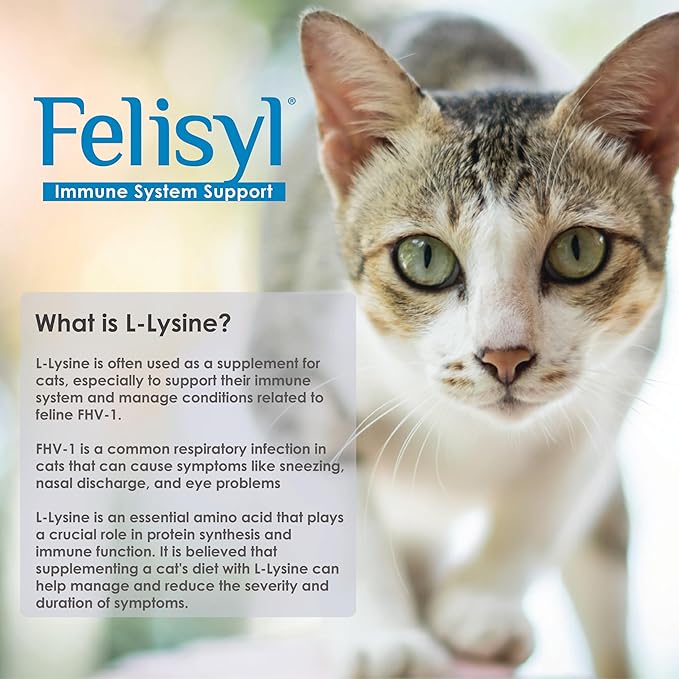 L-Lysine Gel for Cats - Immune System Support - Supplement Support for Healthy Tissue Respiratory and Vision - Salmon-Flavored - Made in The USA - 5 oz (2 Pack Gel (5 oz.))