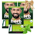 Herb For Men Mustache &amp Beard Dye (Nature Black 3 Pack) PPD-Free Ammonia-Free Vegan with Natural Ingredients Odorless Gentle for Sensitive Skin No Skin Irritation