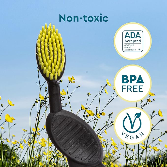 RADIUS Flex Brush with Soft Bristles Toothbrush BPA Free &amp ADA Accepted Designed to Improve Gum Health &amp Reduce Issues - Left Hand - Assorted - Pack of 6