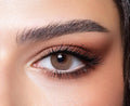 Bella Elite Collection Cosmetic Eye Color Enhancer for Makeup Looks ? Fashion Beauty Accessory for Glam &amp Costume Style (Wild Honey)